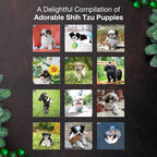 MICASA PRESS Shih Tzu Puppies 2026 Wall Calendar 12 Month | 12" x 24" Open | Thick & Sturdy Paper | Holiday Gift | Cute Puppy Dog Calendar 2026