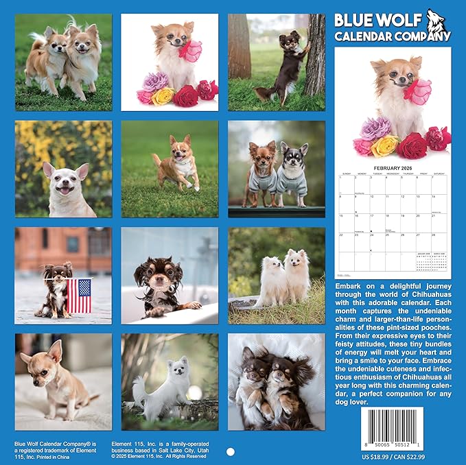 2026 Chihuahuas Monthly Wall Calendar | Cute Dogs Calendar September 2025 - December 2026