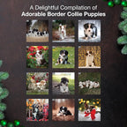 MICASA PRESS Border Collie Puppies 2026 Wall Calendar 12 Month | Thick & Sturdy Paper | Holiday Gift | Cute Puppy Dog Calendar 2026