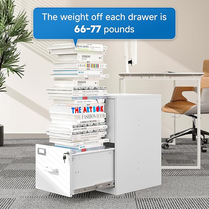 BYNSOE 2 Drawer File Cabinet with Lock Vertical Filing Storage Office Home Steel Vertical File Cabinets for Letter Size File Cabinet Locked,Assembly Required