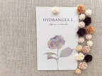 Seven YJ.Push Pins 24 Pcs,Decorative ThumbTacks for CorkBoard,Feature Wall, Office Organization or Home
